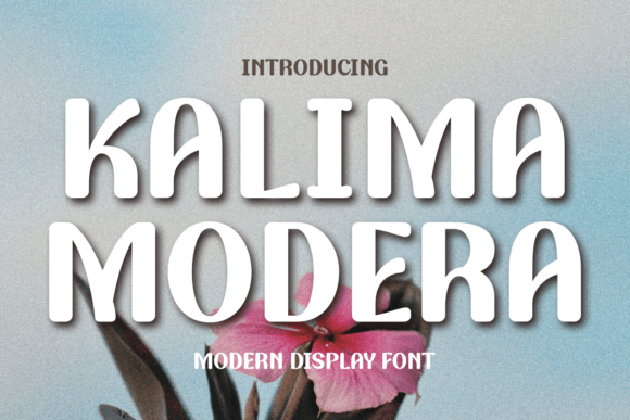 Infusing Joy into Design: The Creative Power of Kalima Modera