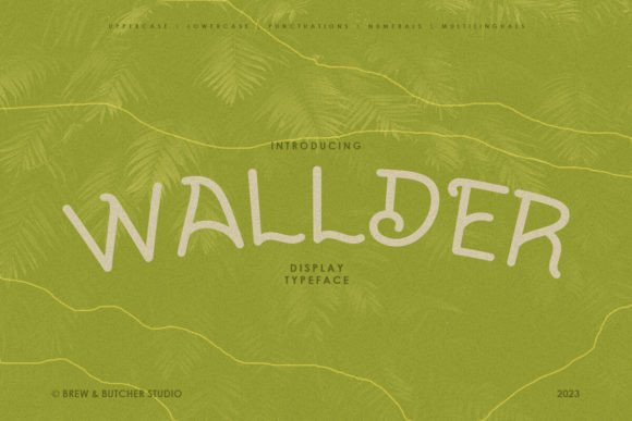 Wallder: Elevating Design with Curved Elegance and Distinctive Typography